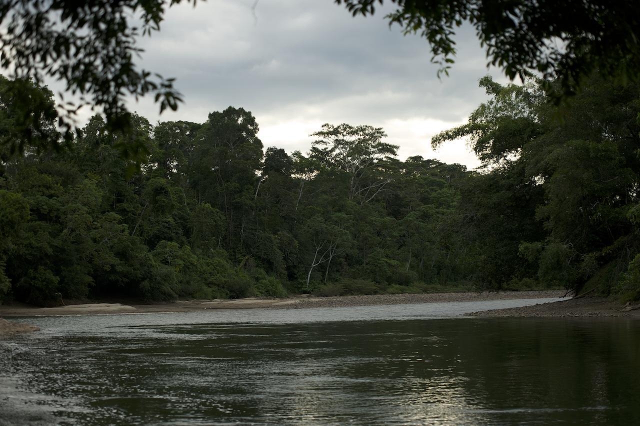 Itamandi Eco Lodge Río Arajuno Exteriér fotografie