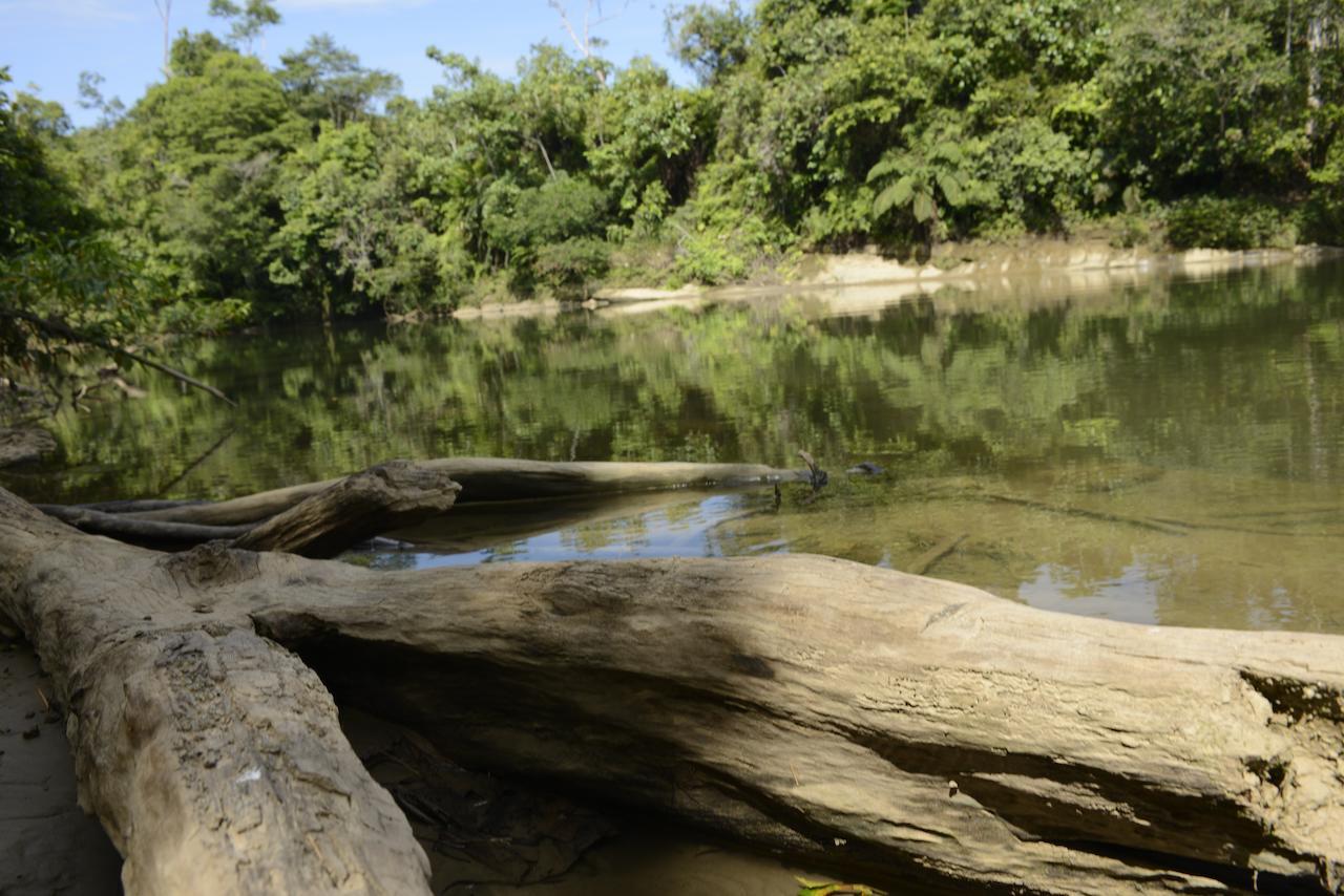 Itamandi Eco Lodge Río Arajuno Exteriér fotografie